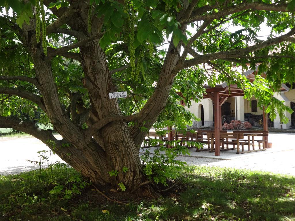 Agriturismo Rivieraoglio Piadena Extérieur photo